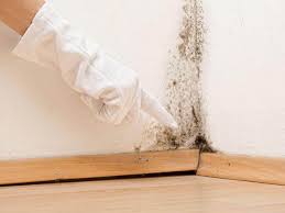 Why You Should Choose Our Mold Remediation Services in Brockway, PA